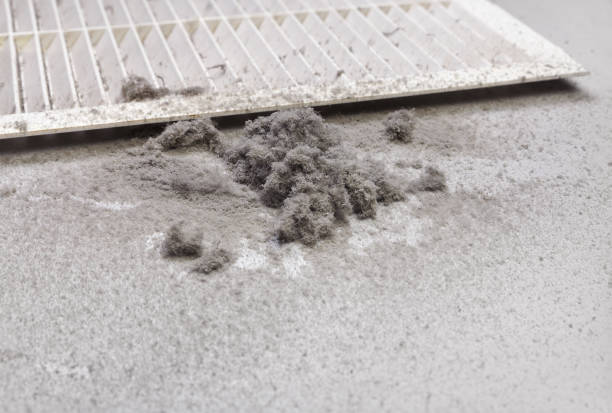 Best Air Duct Cleaning Near Me  in Springfield, KY