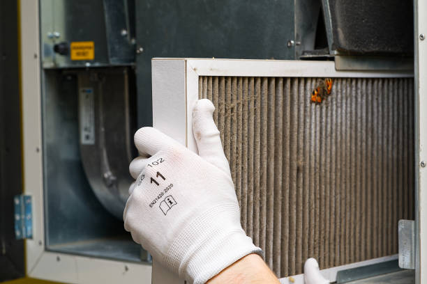 Best Air Duct Cleaning Near Me  in Springfield, KY