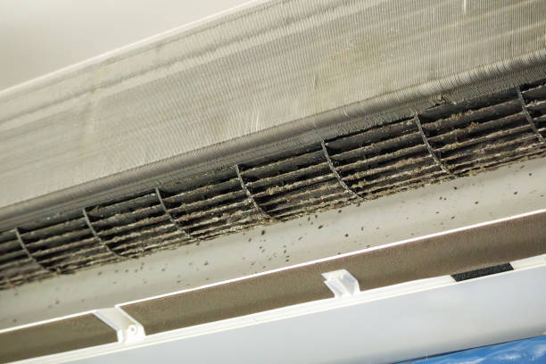 Best Air Duct Cleaning Near Me  in Springfield, KY